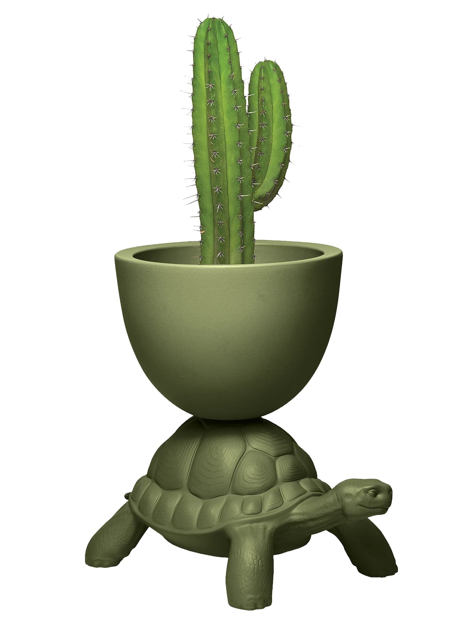 'Turtle Carry Planter and Champagne Cooler' вазон