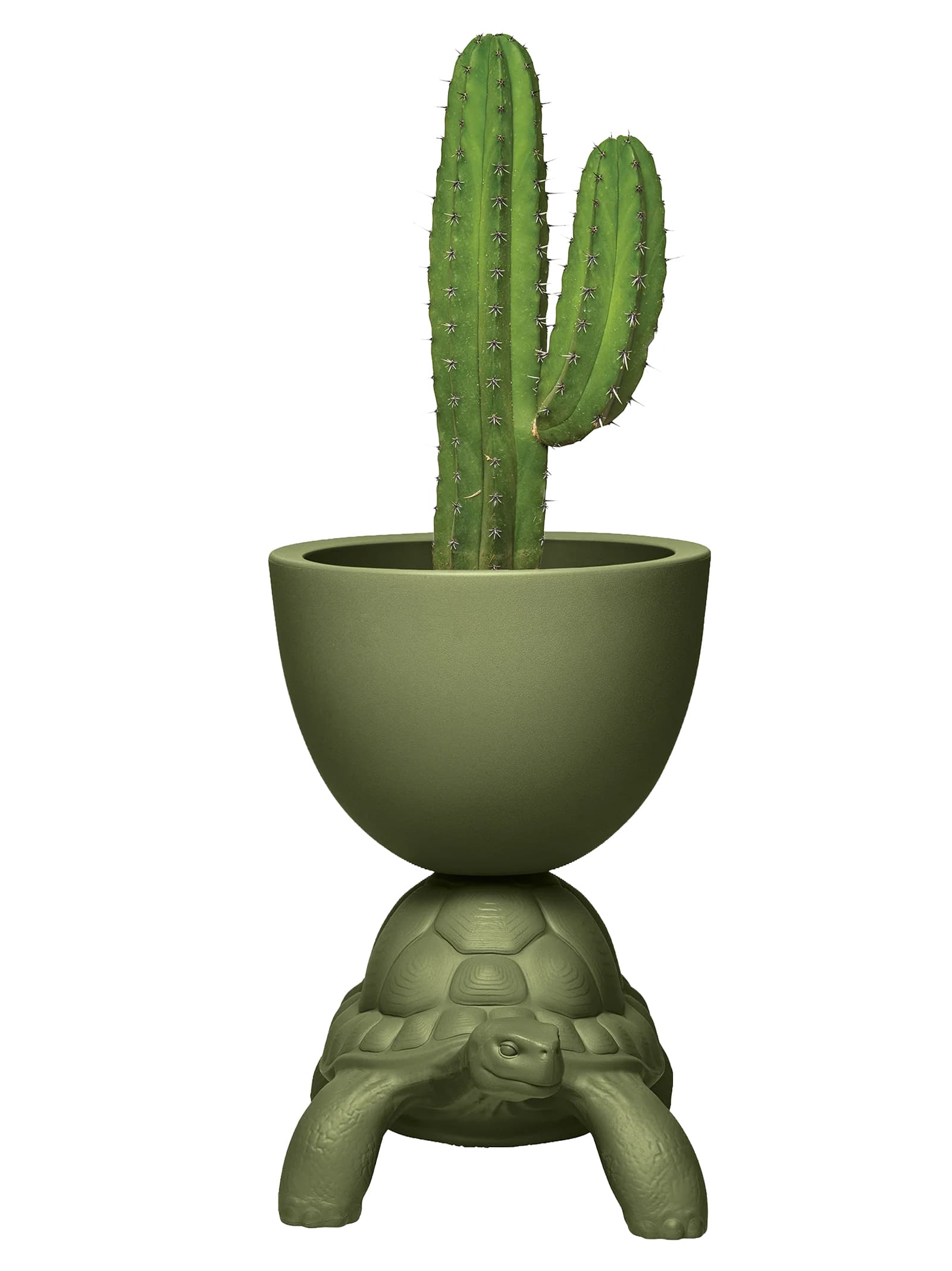 'Turtle Carry Planter and Champagne Cooler' vase - мініатюра 2
