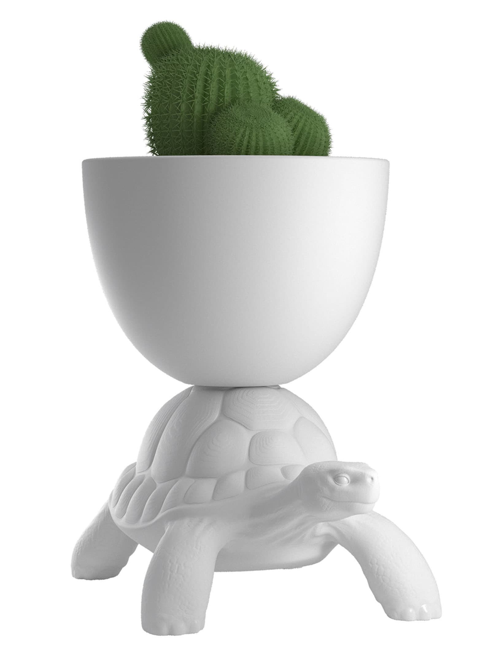 'Turtle Carry Planter and Champagne Cooler' ваза