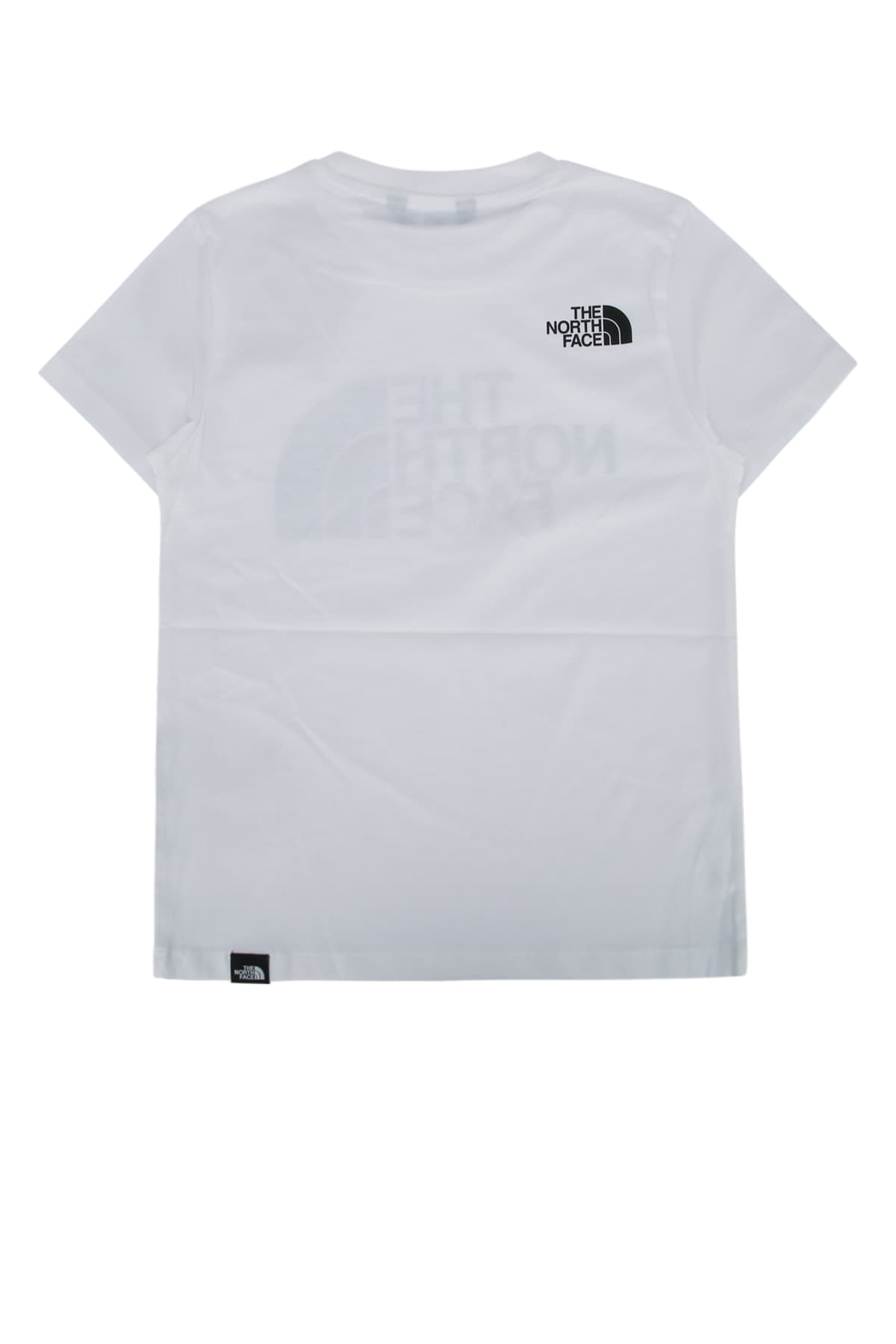 TEEN EASY REGULAR SS TEE - мініатюра 2