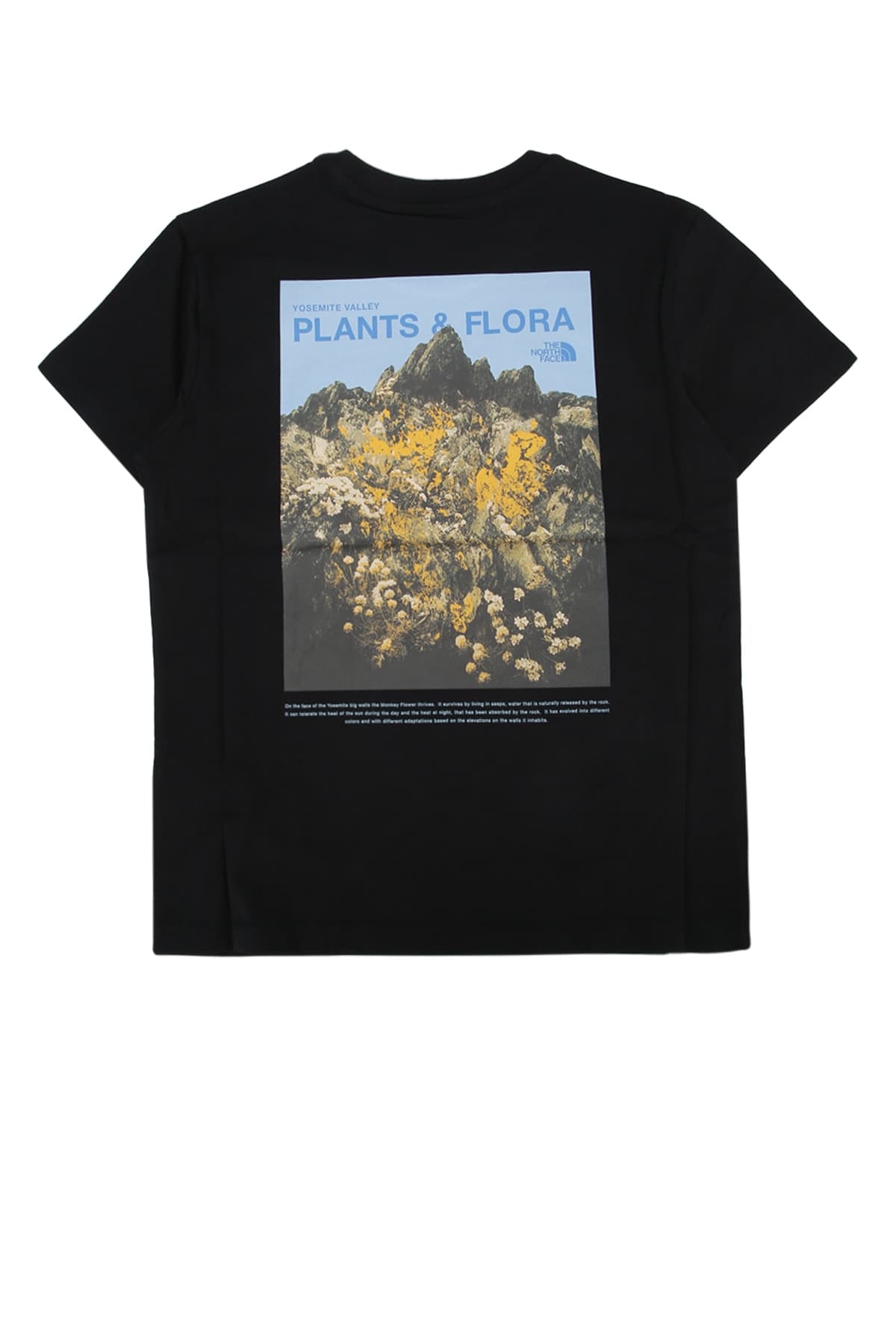 G FLORA RELAXED SHORT SLEEVE TEE - GRAPHIC - мініатюра 2
