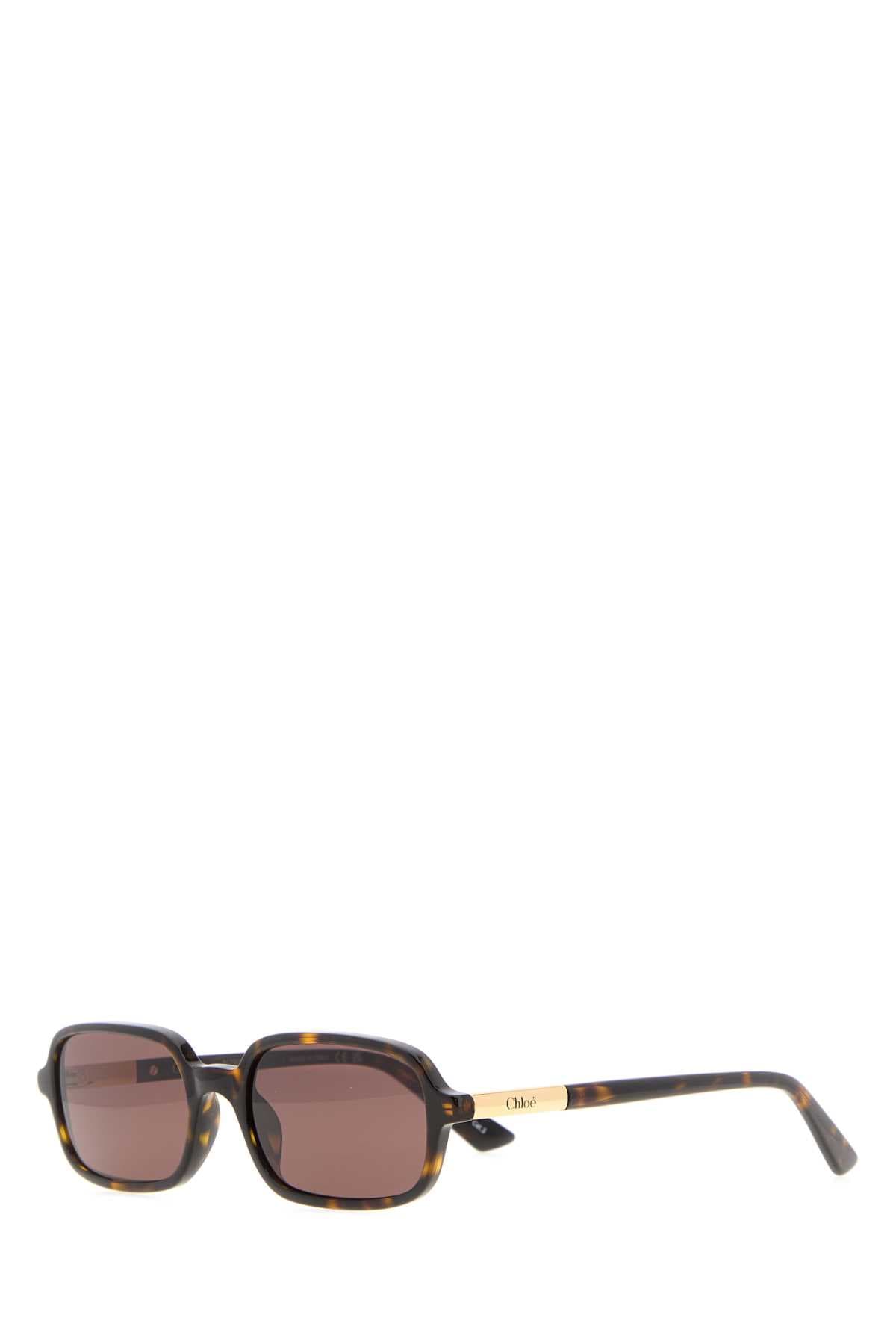 Multicolor acetate Judy sunglasses