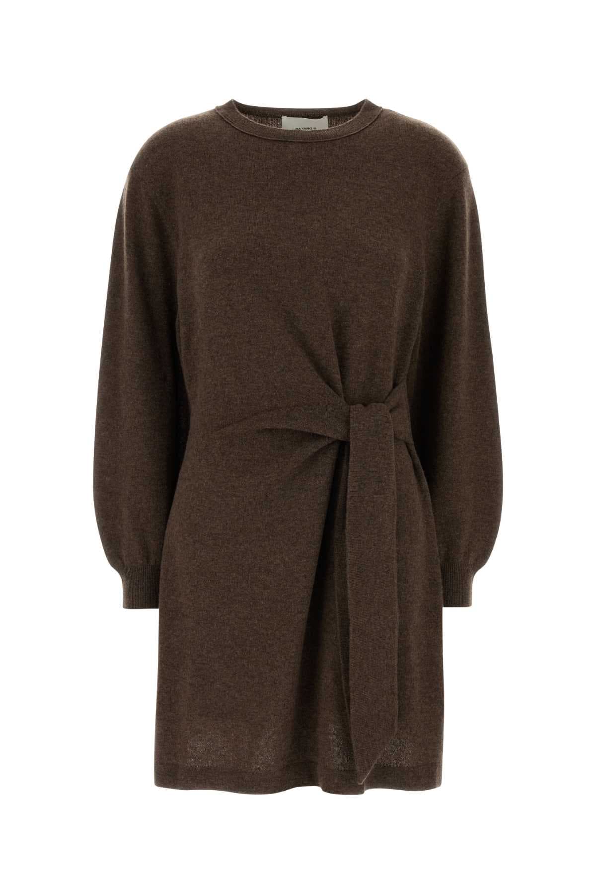 Brown cashmere Abrielle sweater dress