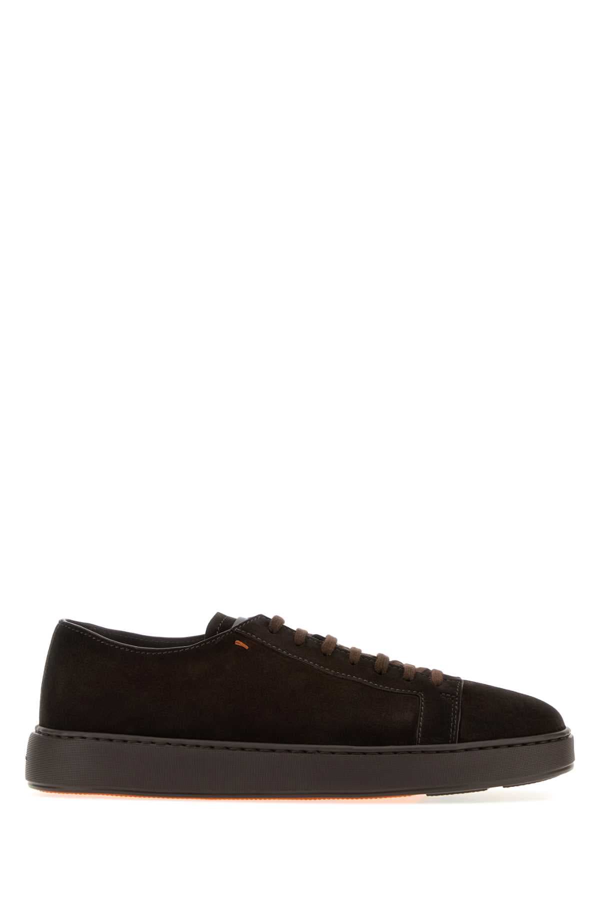 Dark brown suede Damps sneakers