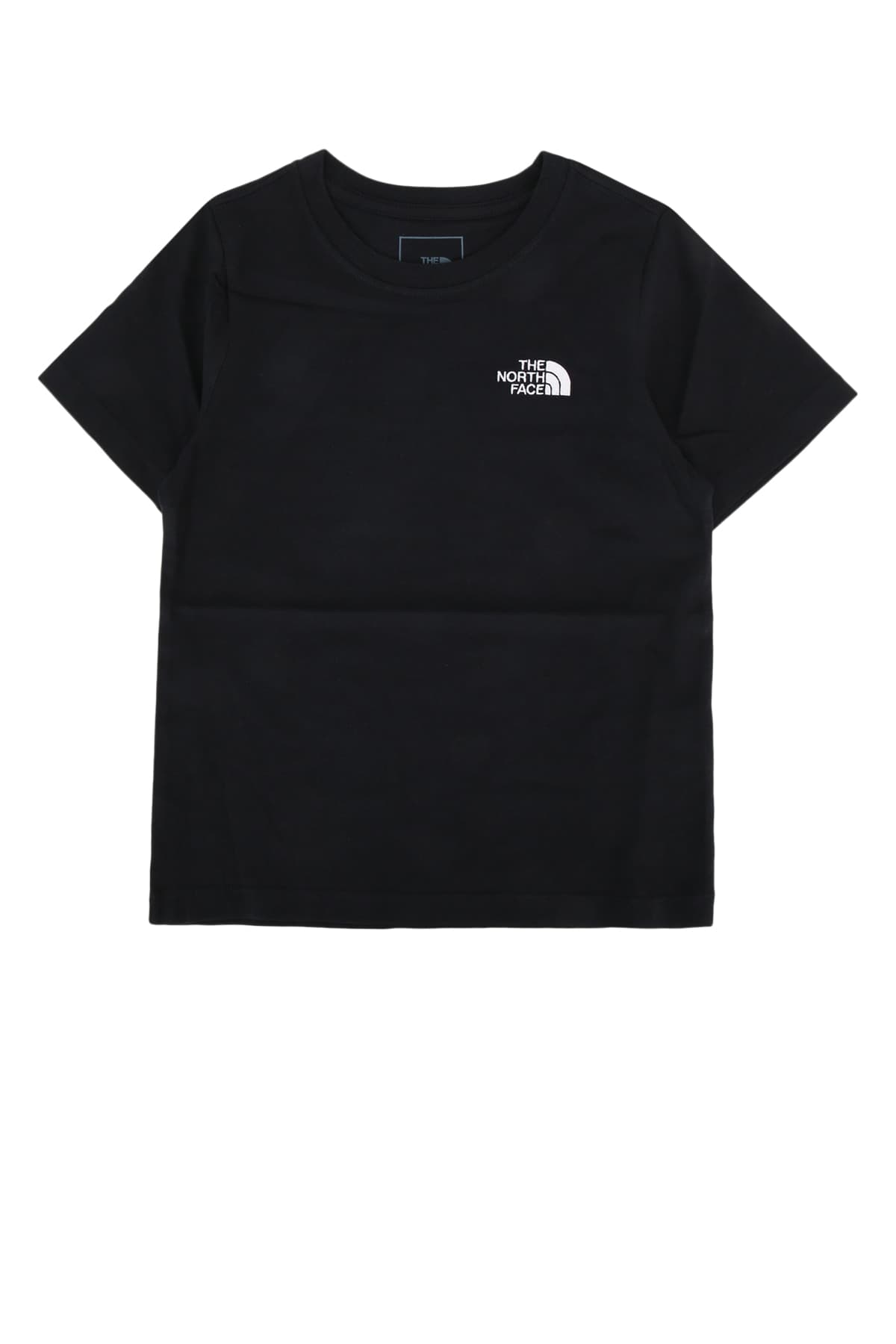 TEEN EVOLUTION SIMPLE DOME S/S TEE