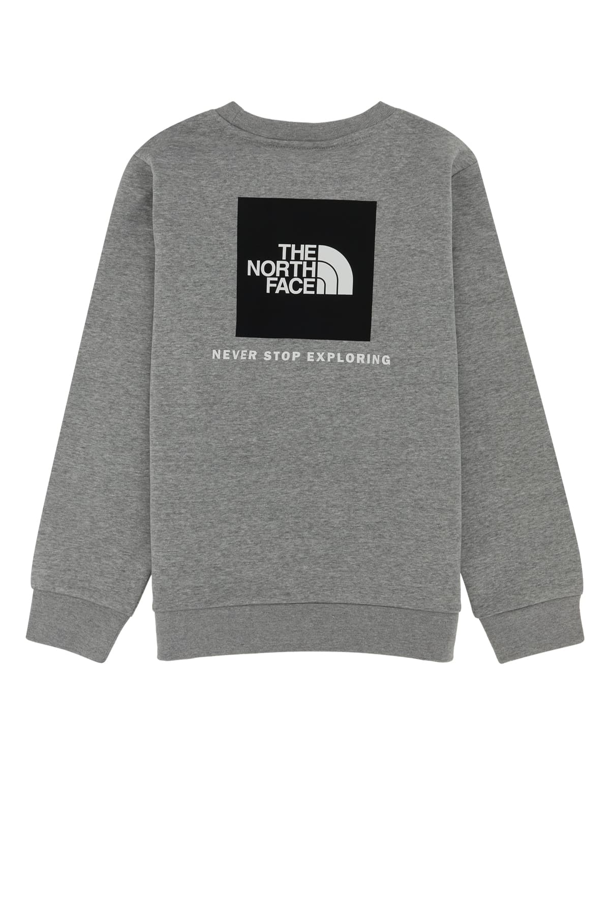 TEEN EVO BOX NSE CREW TNF P - мініатюра 2