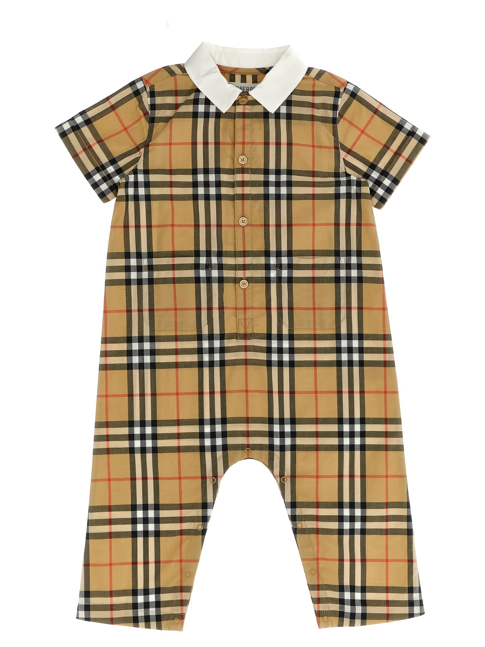 Pagliaccetto 'Andreas'