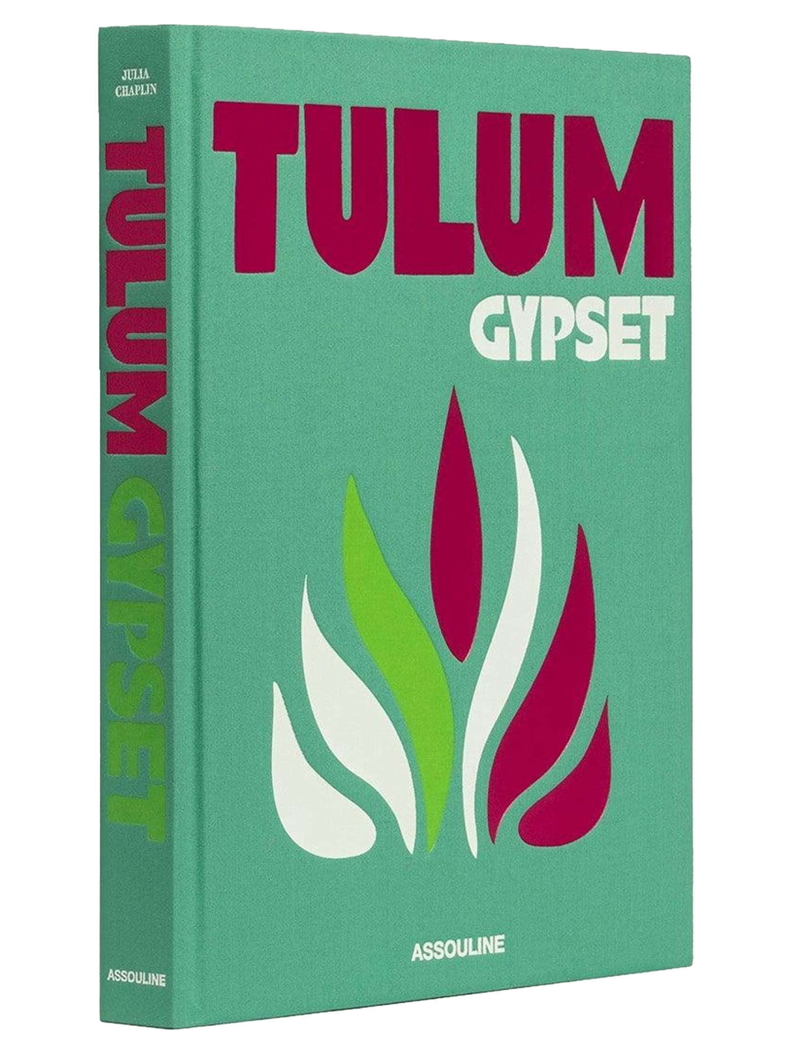 'Tulum Gypset' book