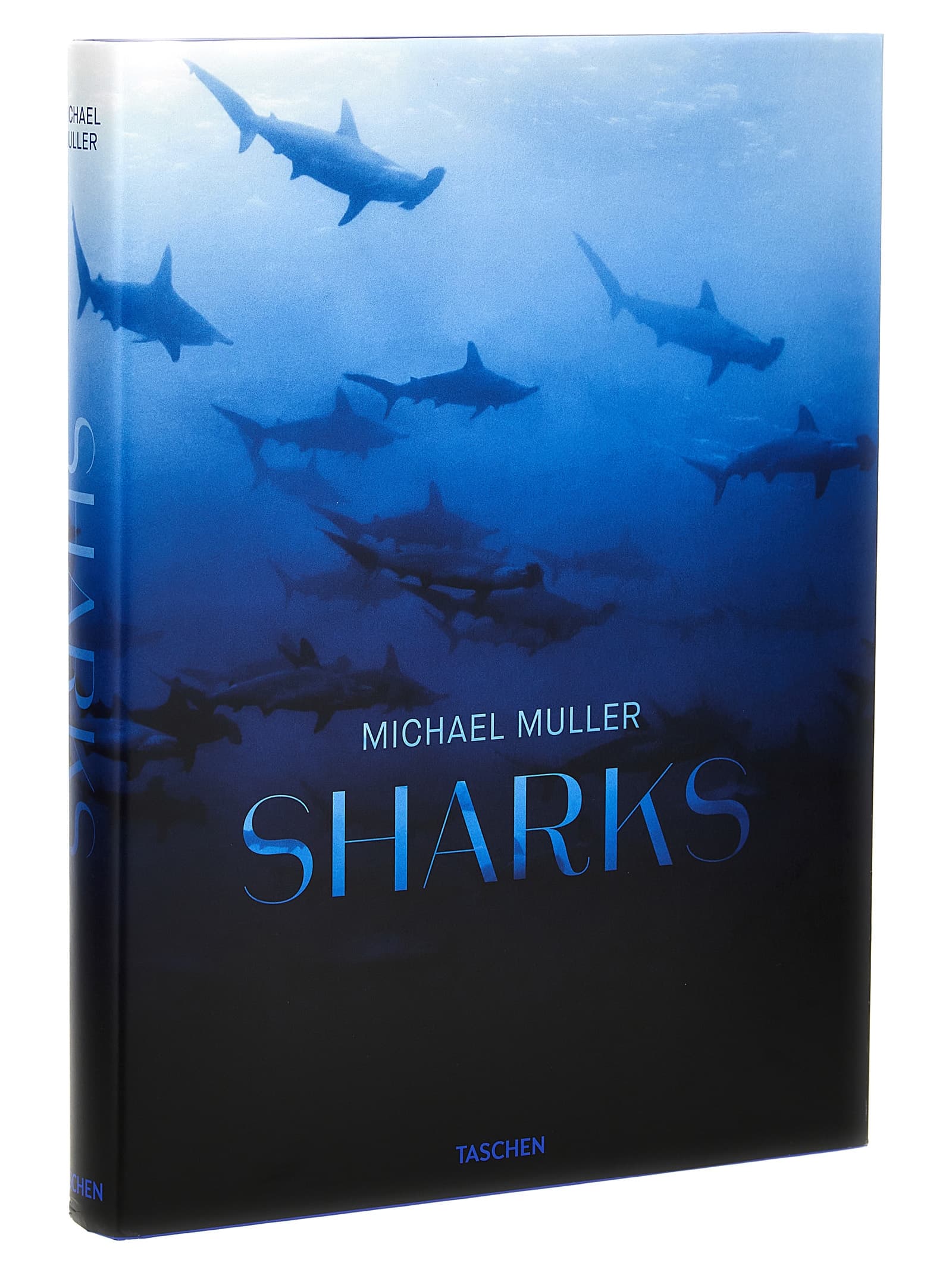 'Michael Muller. Sharks' книга