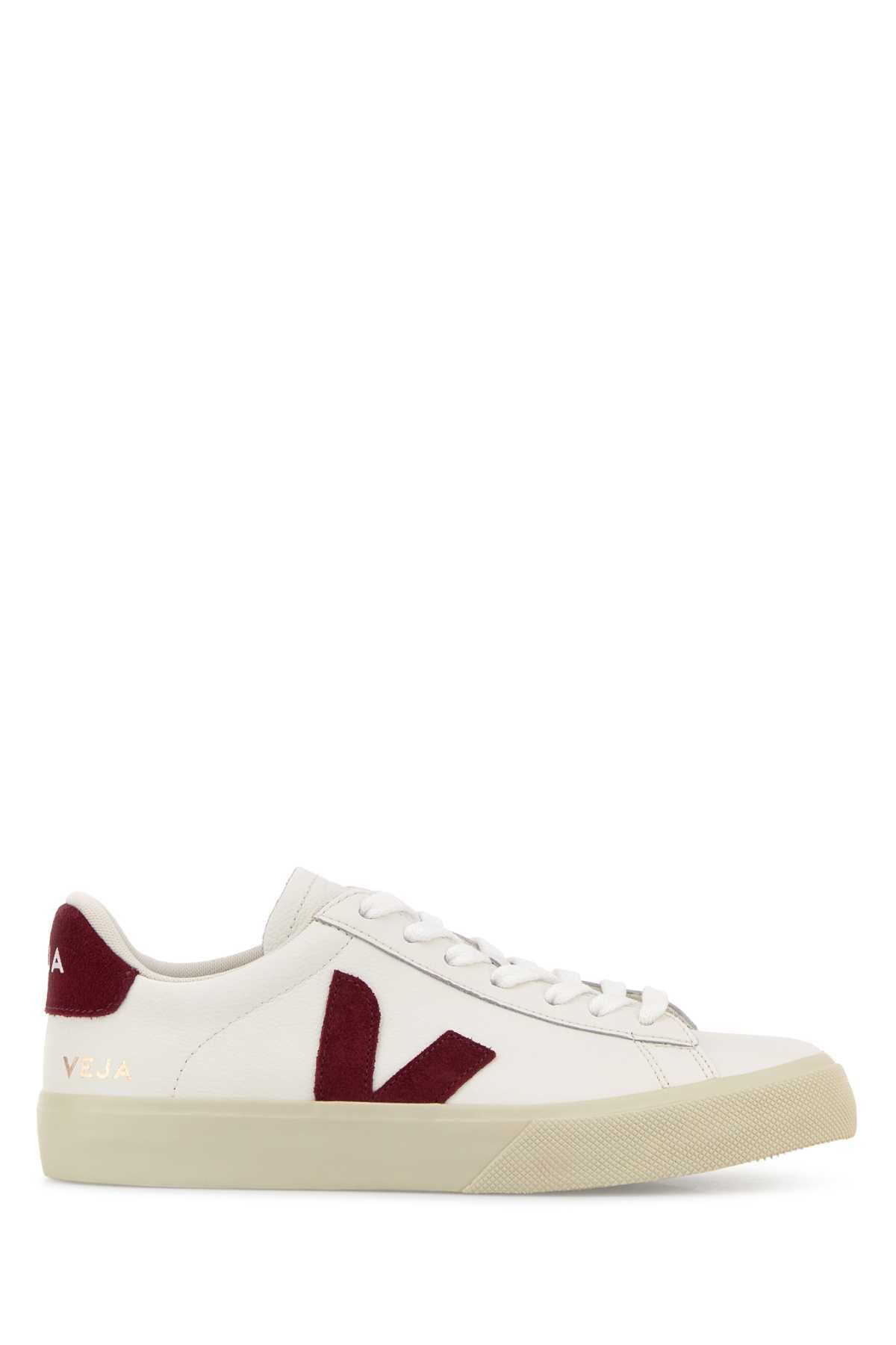 White leather Campo sneakers